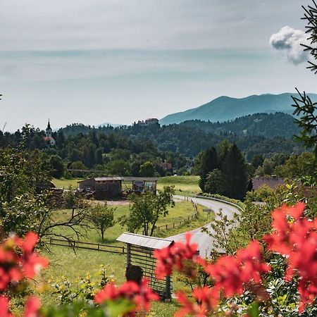 Apartmaji Retro Spodnje Gorje Exteriör bild